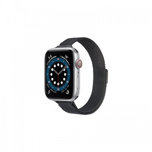 Watch Bands / Straps
