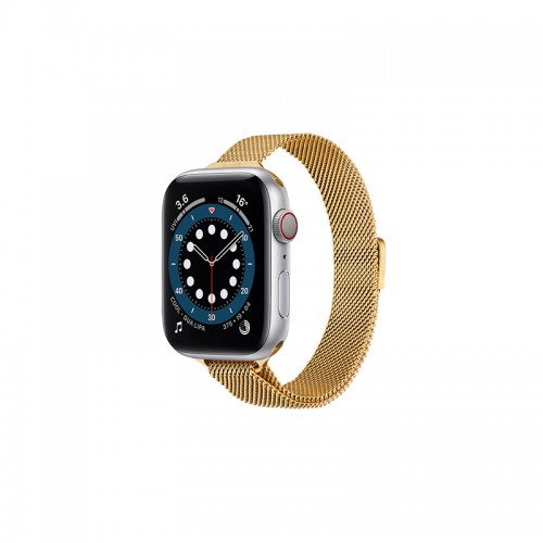 Watch Bands / Straps