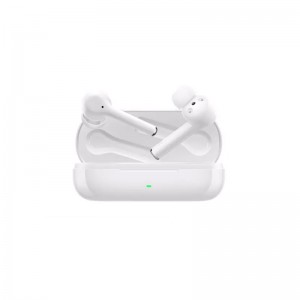 Earbuds & Speaker