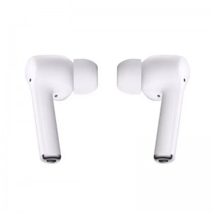 Earbuds & Speaker