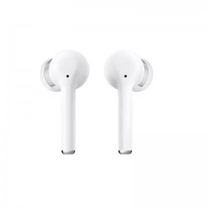 Earbuds & Speaker