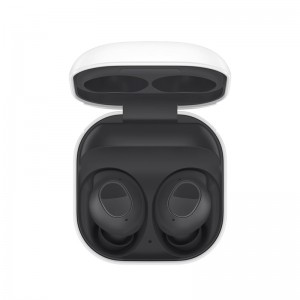 Earbuds & Speaker