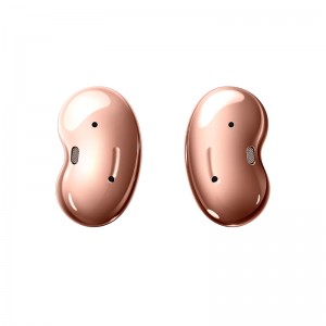 Earbuds & Speaker