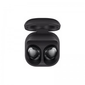 Earbuds & Speaker
