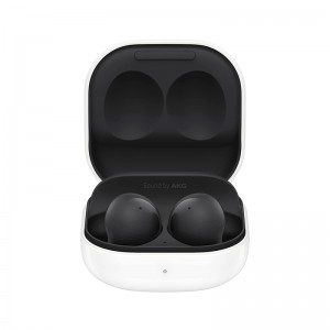 Earbuds & Speaker