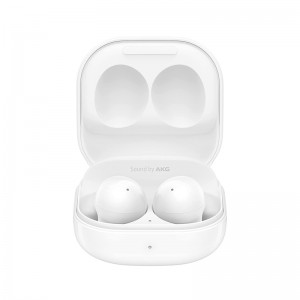 Earbuds & Speaker