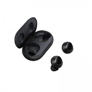 Earbuds & Speaker